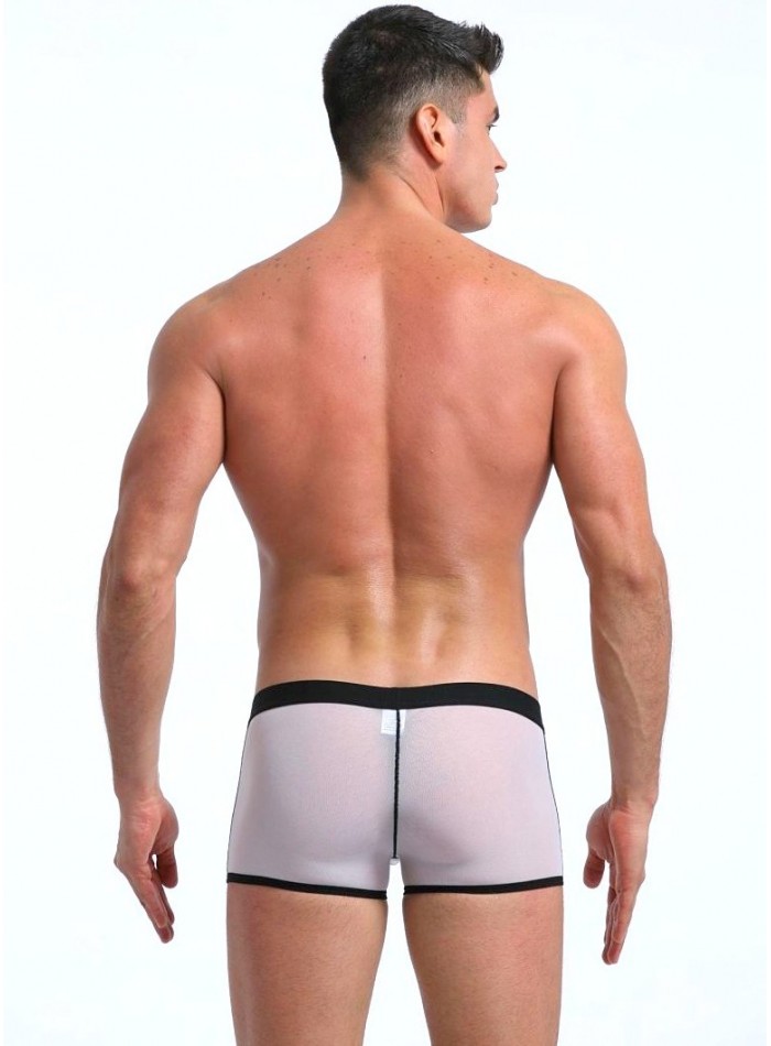 Boxer traslúcido
