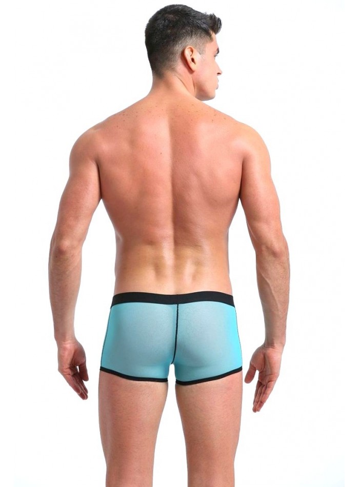 Boxer traslúcido