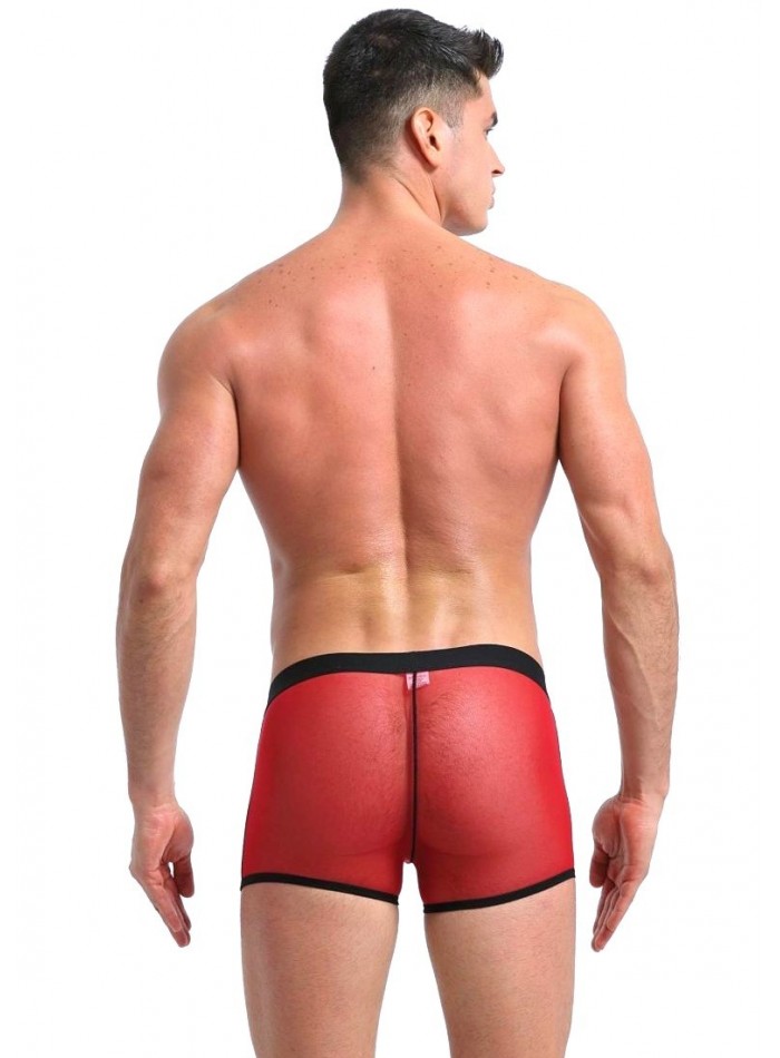 Boxer traslúcido