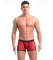 Boxer traslúcido