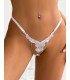 Colaless con bordado frontal y strass. Sistema reguable. Hasta 3XL