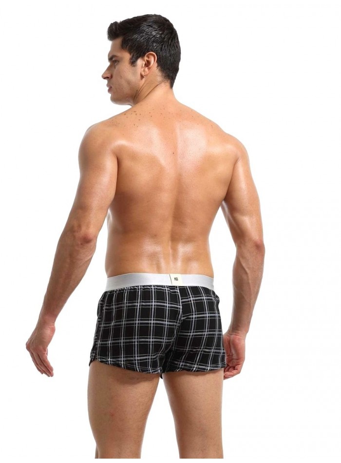 Boxer a cuadros