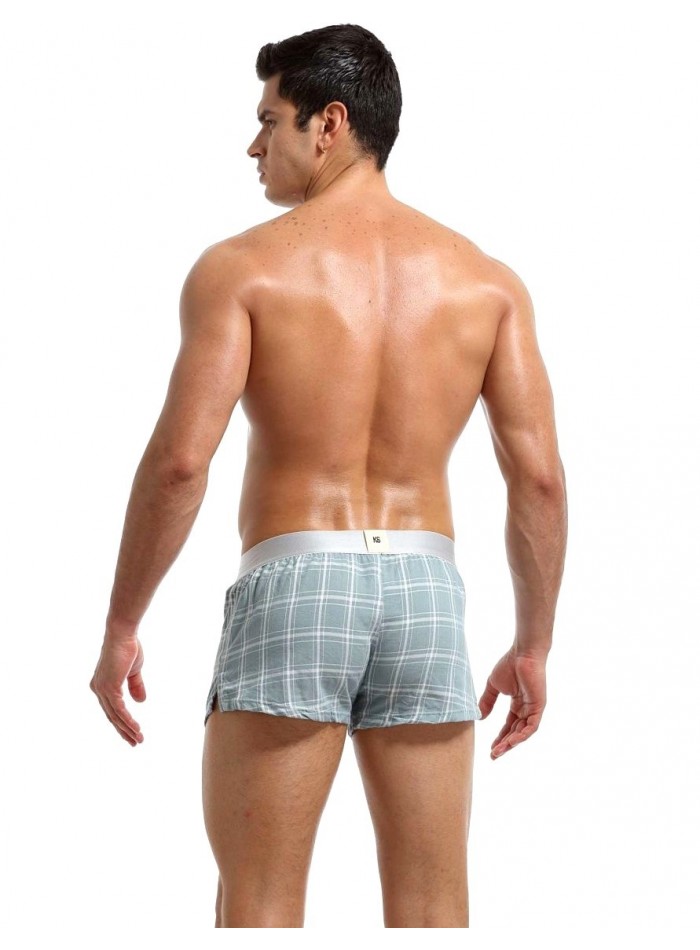 Boxer a cuadros
