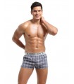 Boxer a cuadros