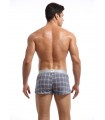 Boxer a cuadros