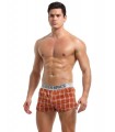 Boxer a cuadros