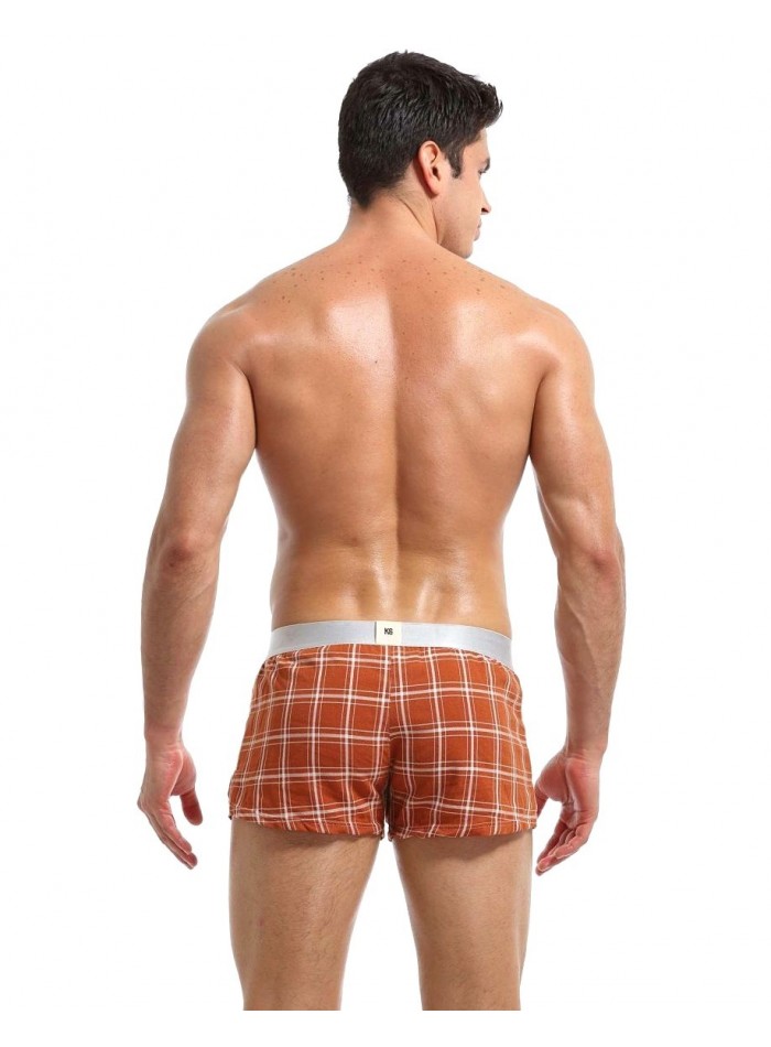 Boxer a cuadros