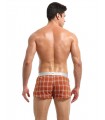 Boxer a cuadros
