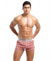 Boxer a cuadros