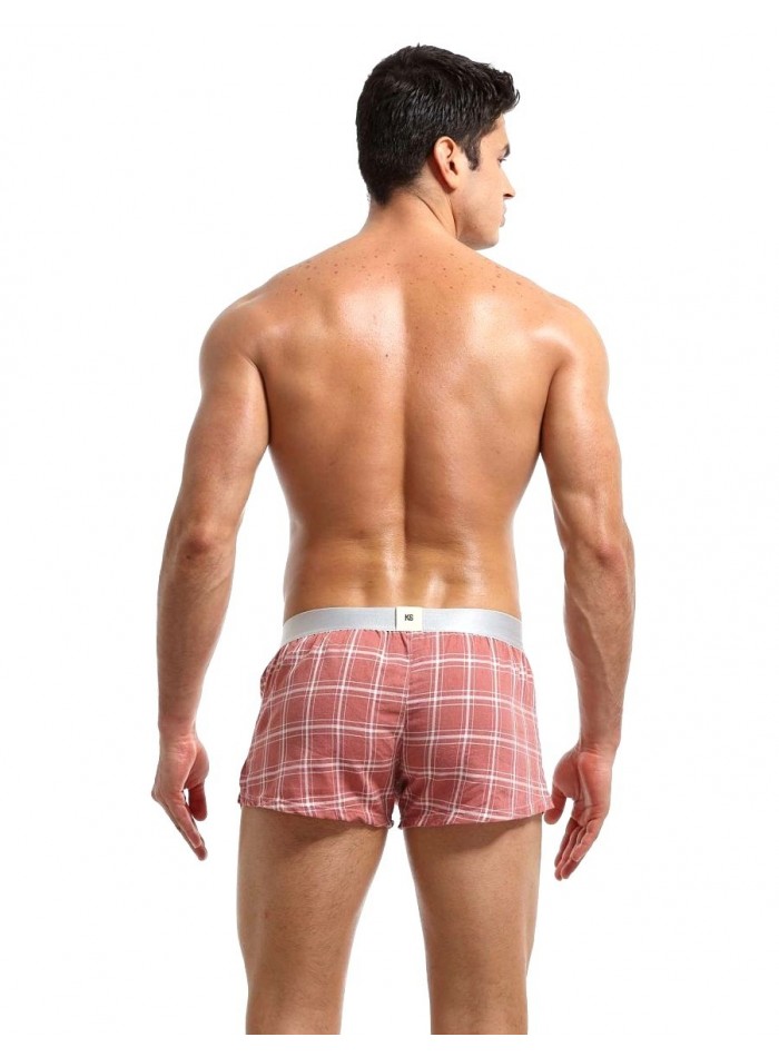 Boxer a cuadros