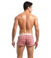 Boxer a cuadros