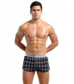 Boxer a cuadros