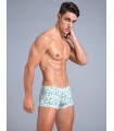 Boxer estampado