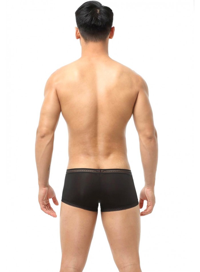 Boxer de tiro corto