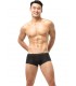 Boxer de tiro corto