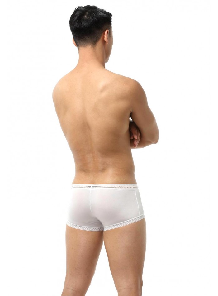 Boxer de tiro corto