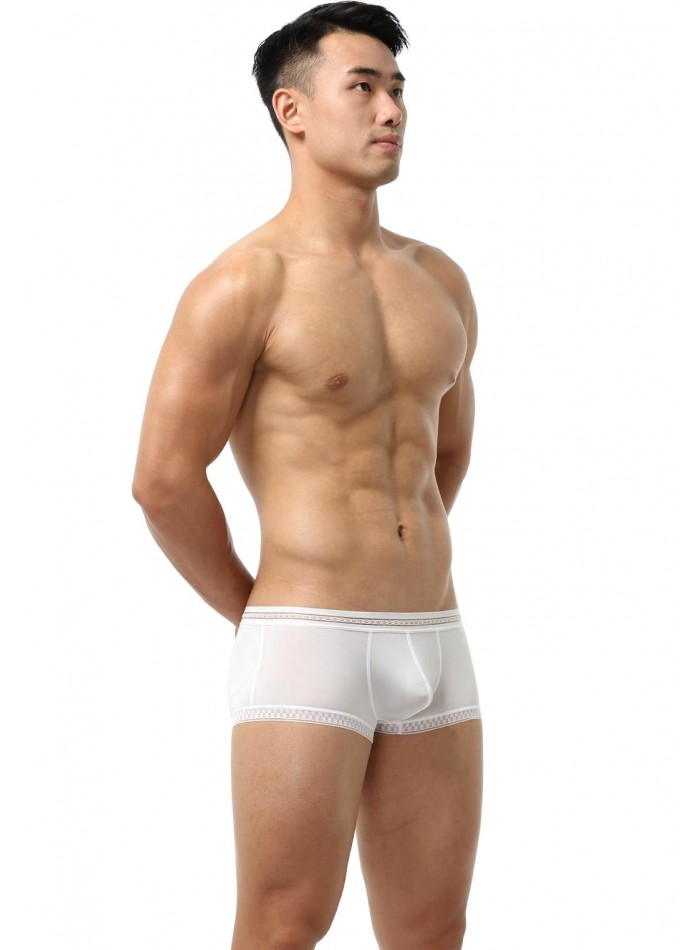 Boxer de tiro corto