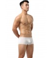 Boxer de tiro corto