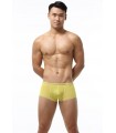 Boxer de tiro corto