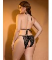 Body Aurelia