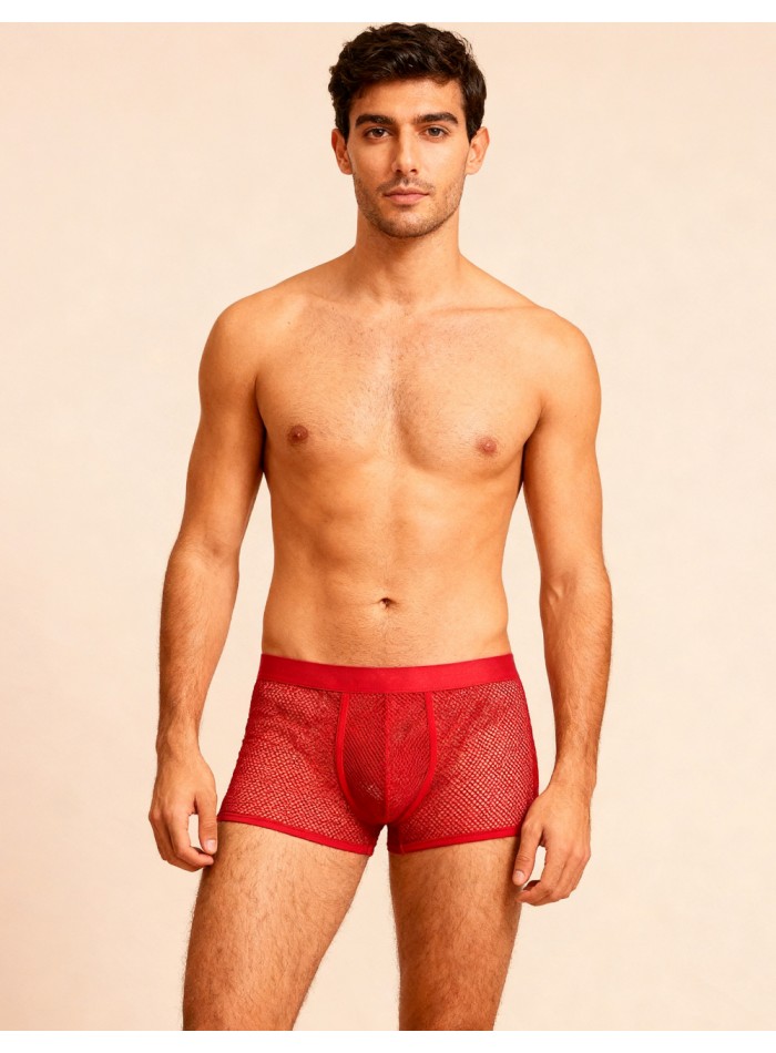 Boxer de red