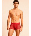 Boxer de red