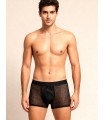 Boxer de red